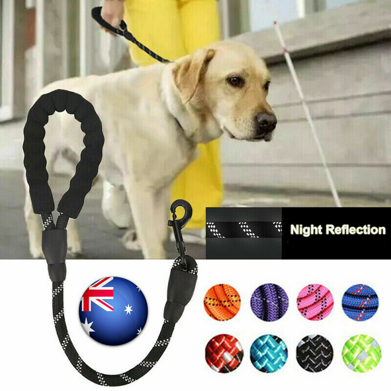 guide dog lead